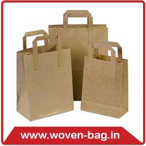 Kraft Paper Bag Supplier in Gandhinagar, India