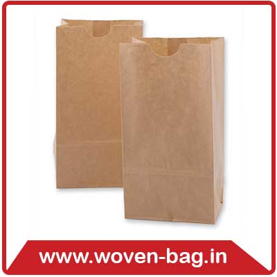 Kraft Paper Bag Manufacturer,supplier in Delhi, Gujarat